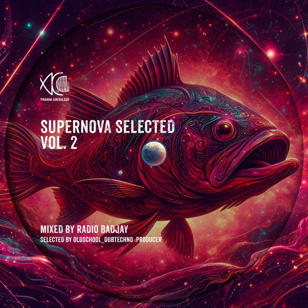 Supernova Selected, Vol. 2 (DJ Mix)