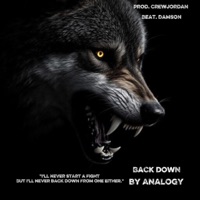 Back Down - Single - Analogy