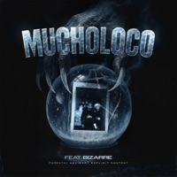 Mucho Loco (feat. Bizarre) - Single - Nate Case
