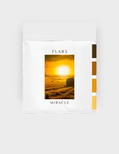 FLAR3を聴いたり、ミュージックビデオを鑑賞したり、経歴やツアー日程などを確認したりしましょう！