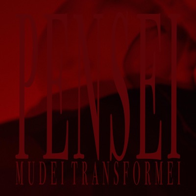 Pensei, Mudei, Transformei - Single