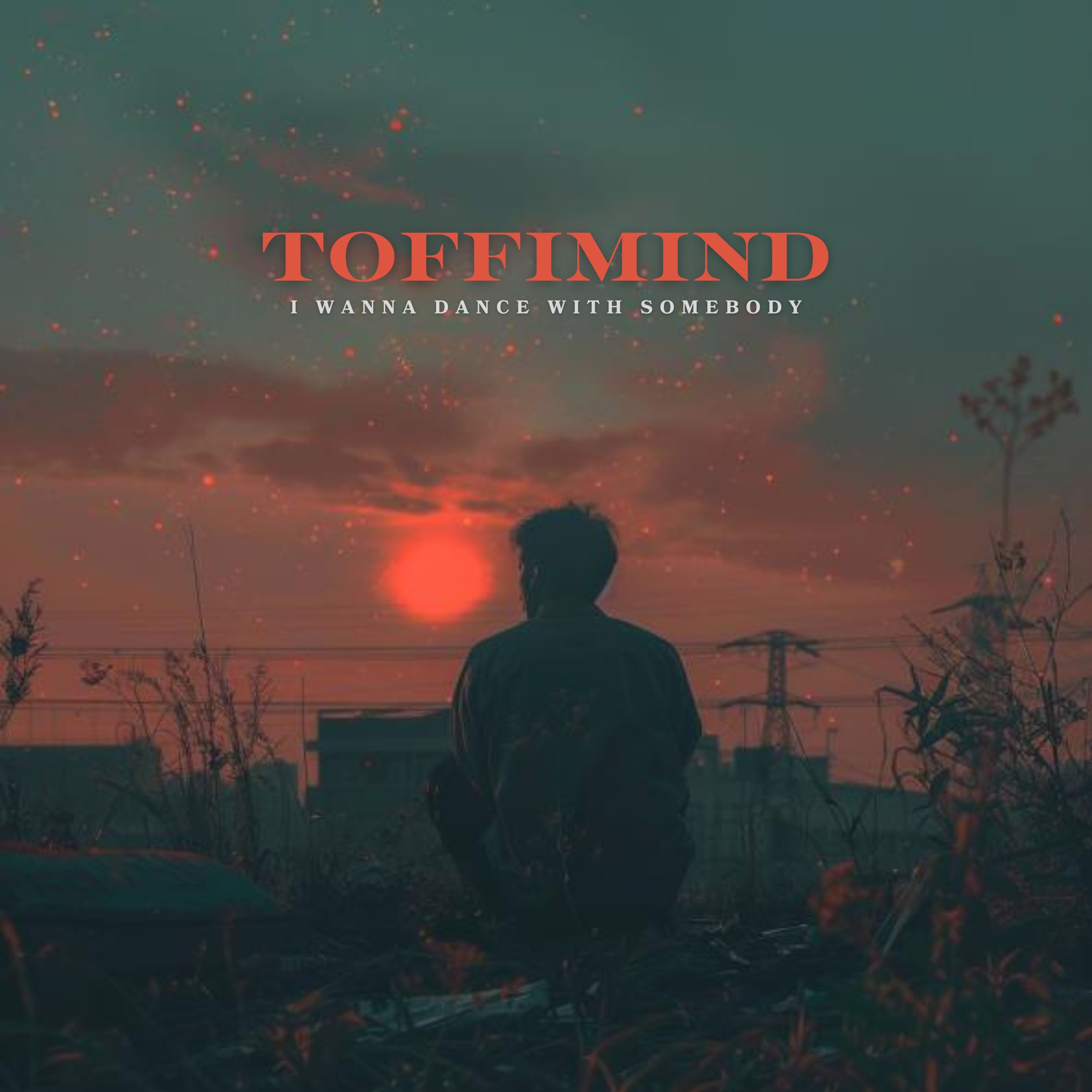 I Wanna Dance with Somebody