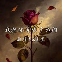 我把你弄丢了方向 (合唱版) - Single - 顾叮当 & 克里