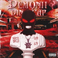Demonii din Cap - Single - Marco Birlan, Samy & Alpy