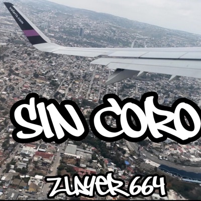 Sin Coro - Single