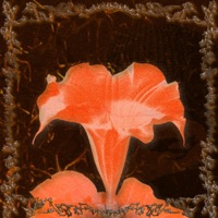 ARRIVEDERCI - Single - 7loseey & Balaclavx