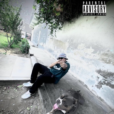 Bien Buena (FlowVampi) - Single