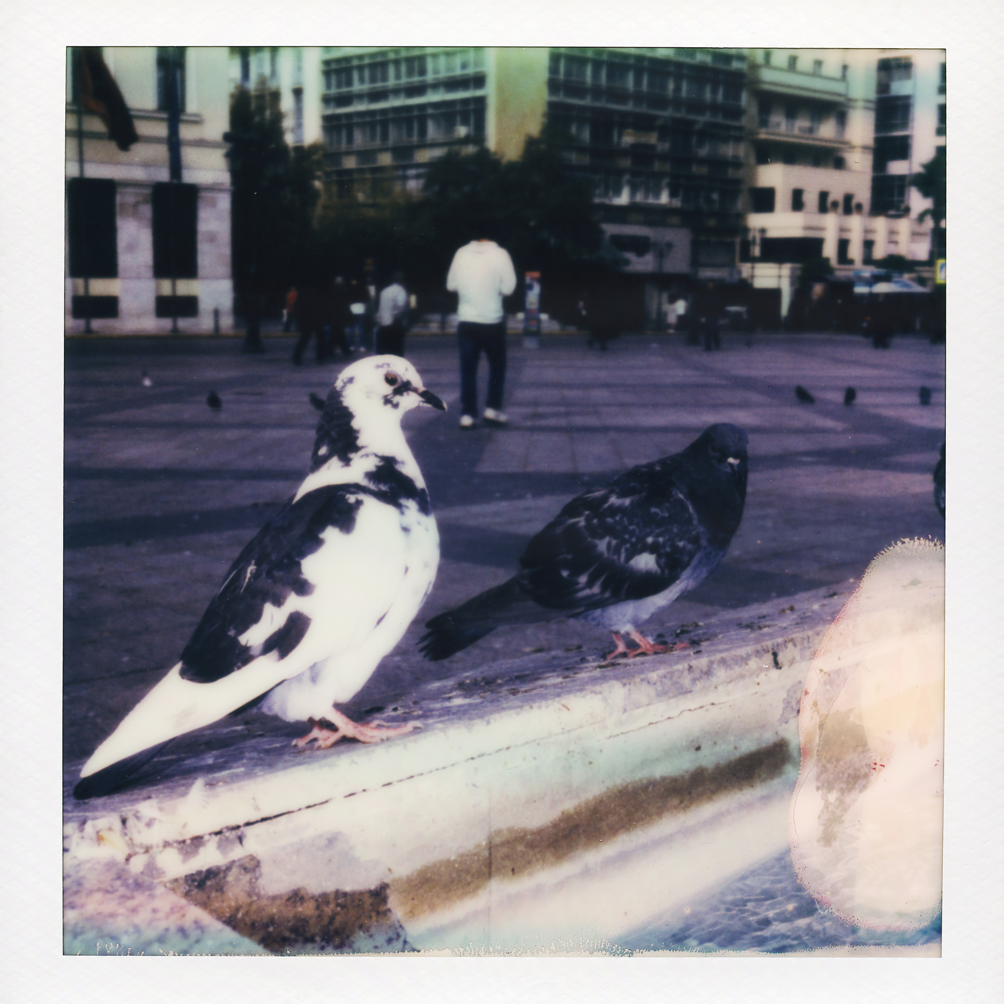 Is Beauty Enough? - Single