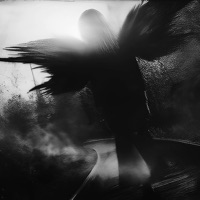 the end - Single - SHADXWBLVCK & HXLLSXDE