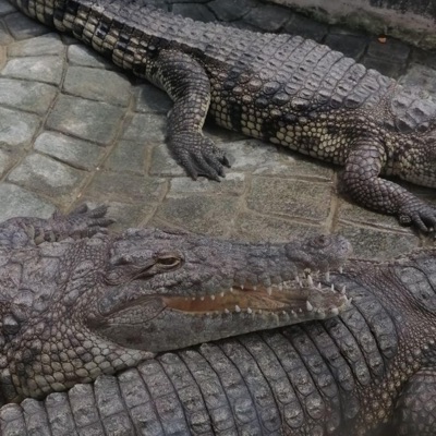 Just Ain't Enough (feat. 6BabyReem) - Single