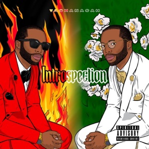 Fake The Funk (feat. Prince Yatazachqa)