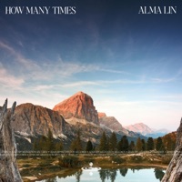 How Many Times (feat. Nina Nalo & Sensory Meditation) - Single - Alma Lin