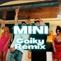Mini (Coiky Remix) - Single - Rizi Papi & Dawid Narożny