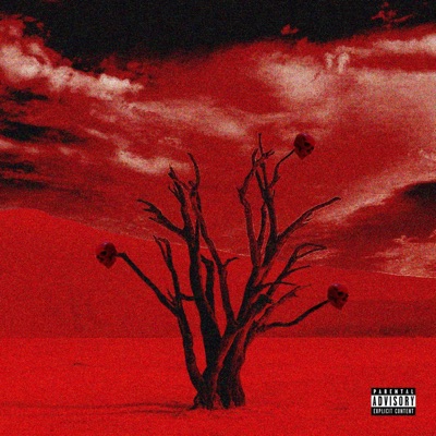 Victim of Time - Single