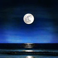 Blue Friday - Single - Genie