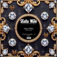 Auto-Pilot (feat. SHATTA WALE) - Single - Paq