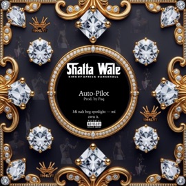 Auto-Pilot (feat. SHATTA WALE) Paq