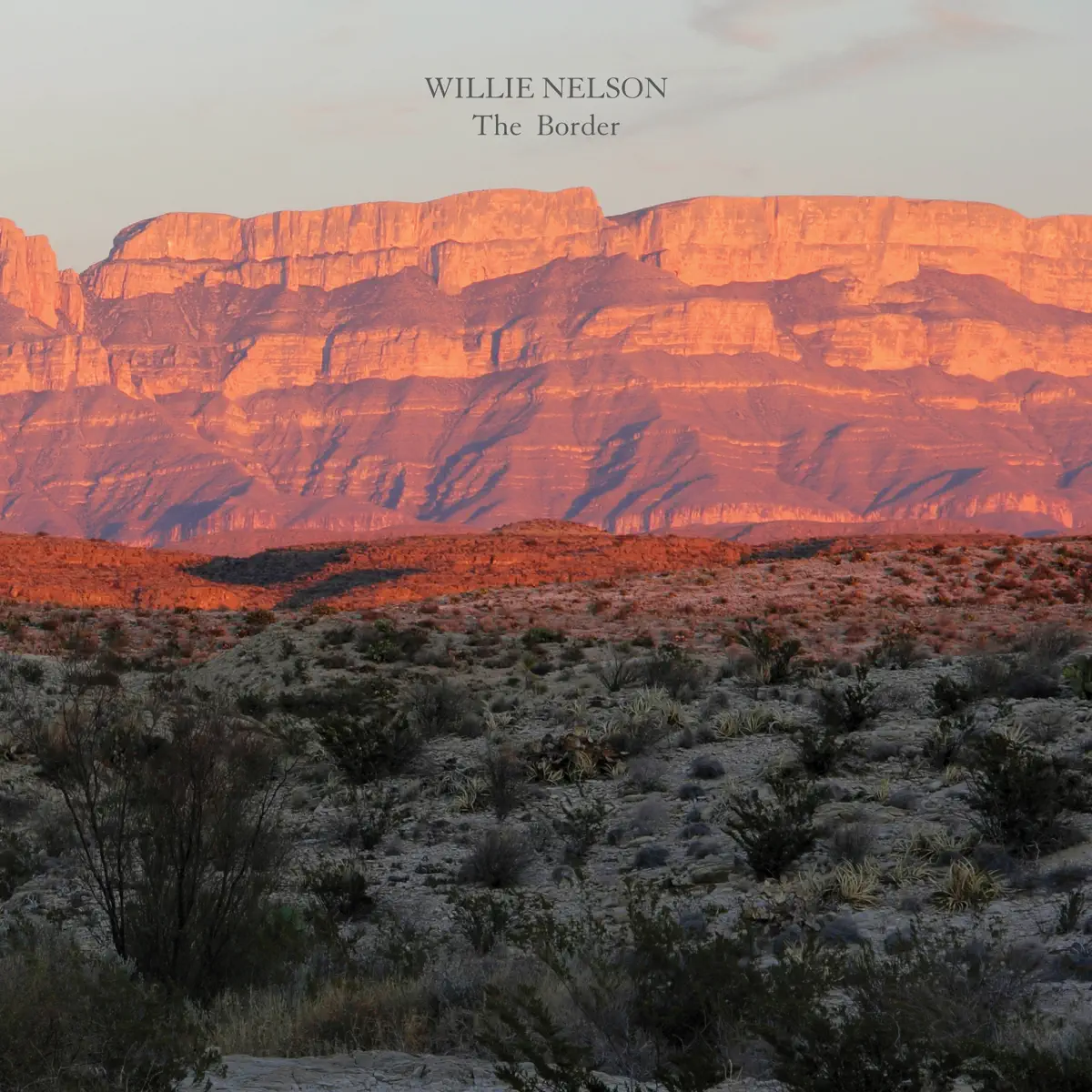 Willie Nelson - The Border (2024) [iTunes Plus AAC M4A]-新房子