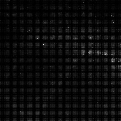 The Silence - Single