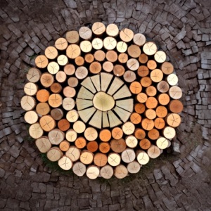 Harmonizing Home Energy with Wood Element