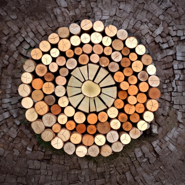 Harmonizing Home Energy with Wood Element