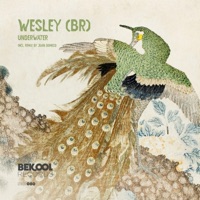 Underwater - Single - WESLEY (BR)