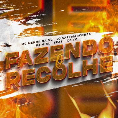 MC Menor Da VG - Fazendo O Recolhe
