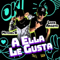 A Ella Le Gusta - Single - Luis Argote & Mitchel B