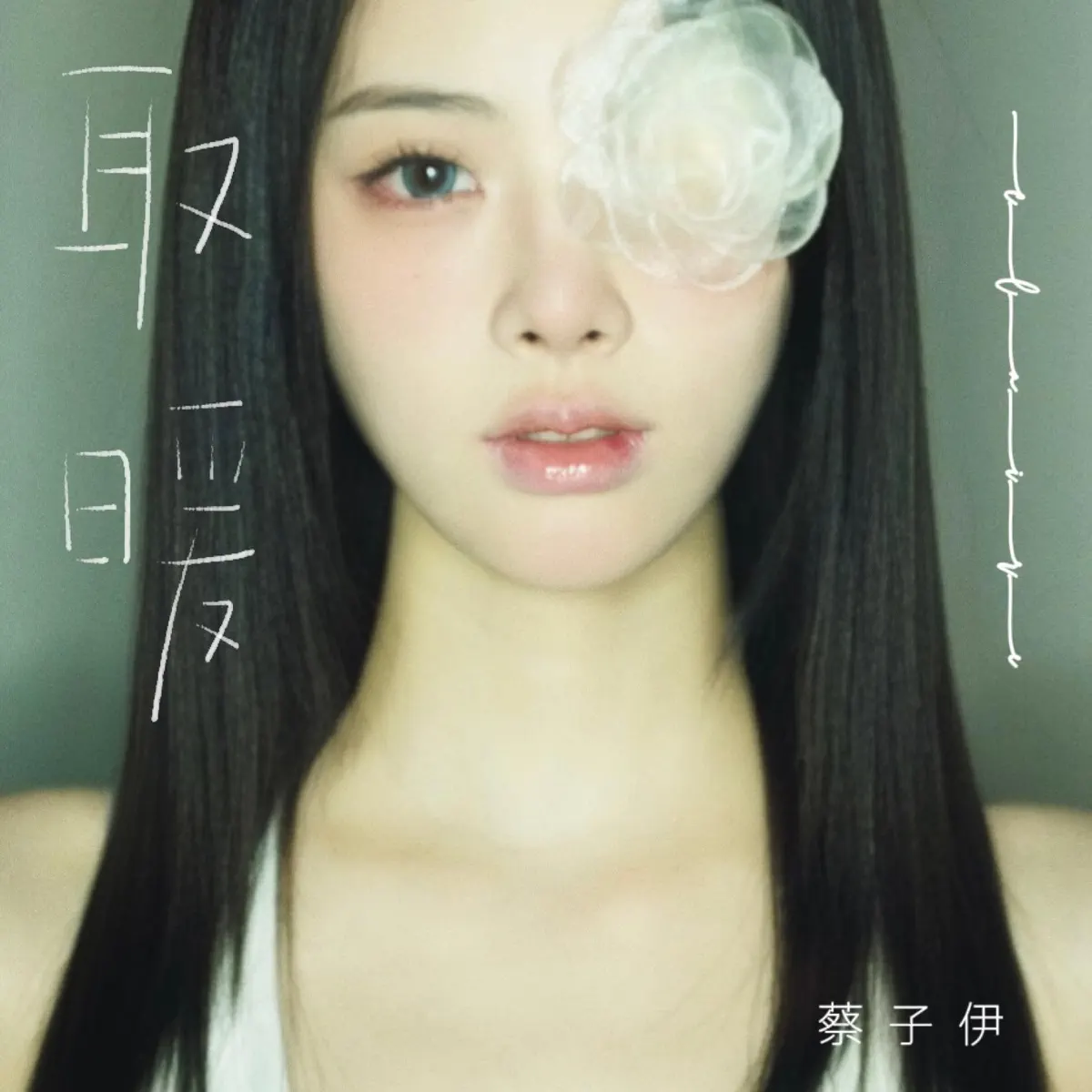 蔡子伊 - 取暖 - Single (2024) [iTunes Plus AAC M4A]-新房子