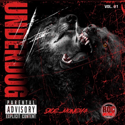 UNDERDOG