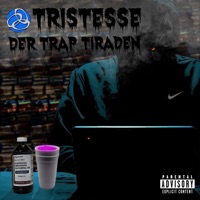 Tristesse der Trap Tiraden (feat. Yin Kalle) - Single - Captain Cashflow