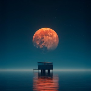 Tranquility Under Moonlight
