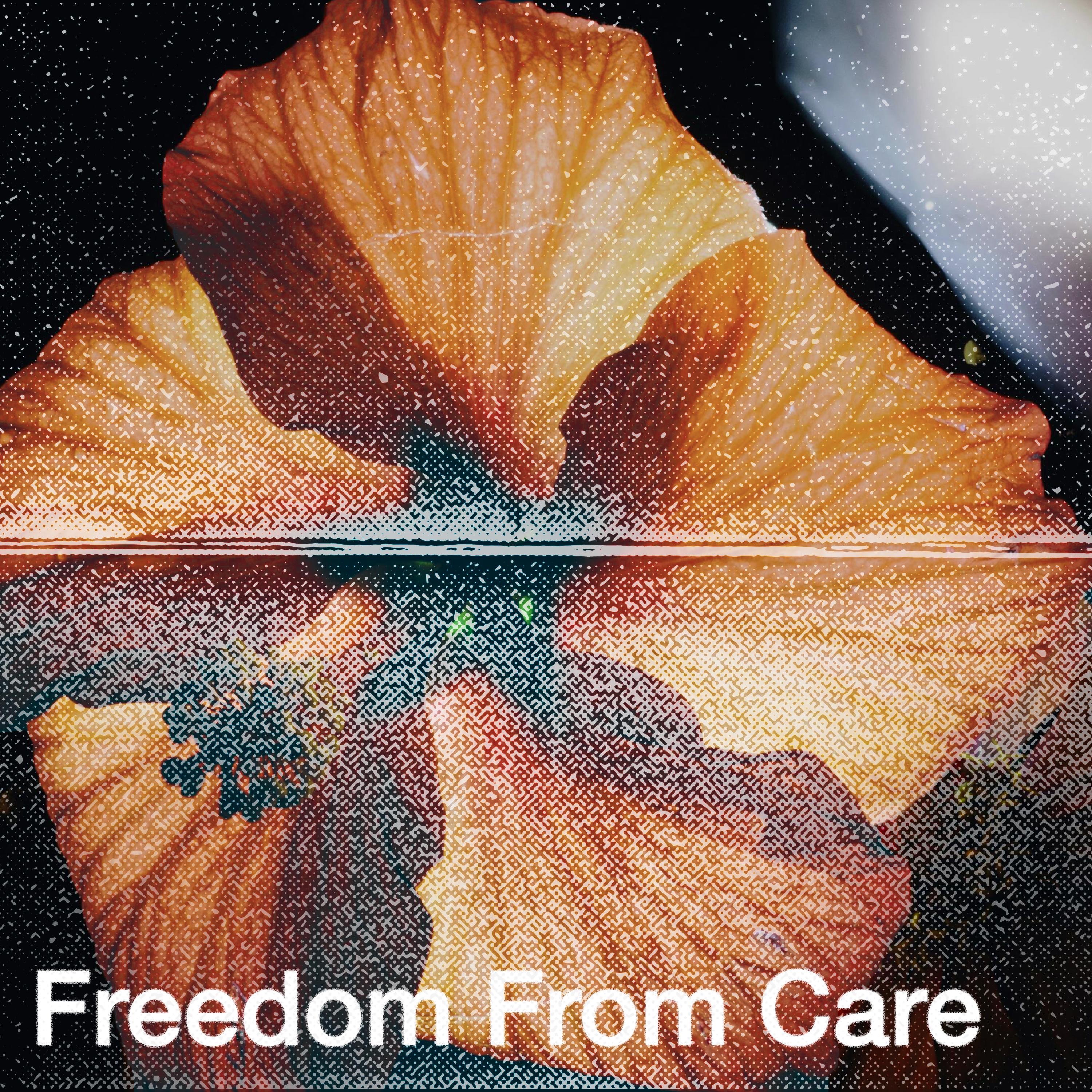 Freedom From Care - Single