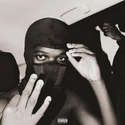 VIRUS-003 SKI MASK - Single