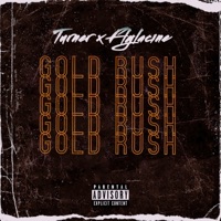 Gold Rush (feat. Flylacine) - Single - Turner-775