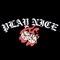 Play Nice - Demrick lyrics