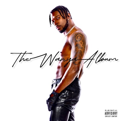 THE WANYA ALBUM