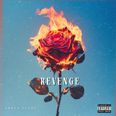 Revenge - Single