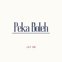 Peka Boleh (feat. OYAN, Michal, Yauwex, Kev & Decky) - Single - Ley SB