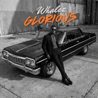 Glorious - Single - Whalez