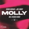 MOLLY (Will Sparks Remix) [Extended Mix] - Single