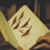 Table of Contents (feat. Riffey) - Single - JUNEBUG