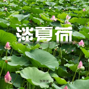 淡夏荷 - Single