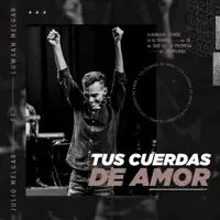 Tus cuerdas de amor — Julio Melgar
