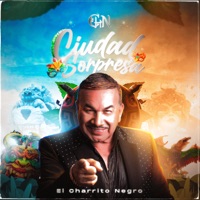 Ciudad Sorpresa - Single - El Charrito Negro