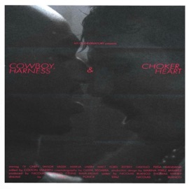 I Cant Amina & Hectic