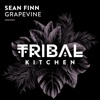 Grapevine (Extended Mix) cover art