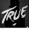 Wake Me Up - Avicii lyrics