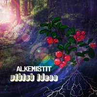 Vitist Ideaa - Alkemistit