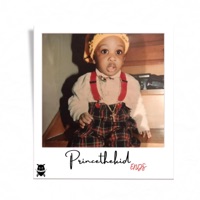 ENDS - Single - Princethekid